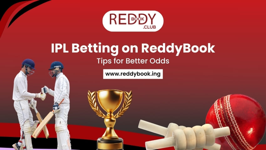 IPL Betting Tips on ReddyBook
